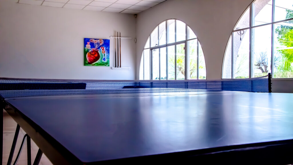 Mesa de ping pong Club Las Tinajas